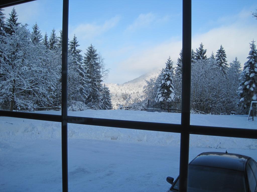 Waldpension Harzer Waldwinkel Бад-Грунд Экстерьер фото